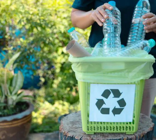 Recycle-Simplifies-Waste-Management